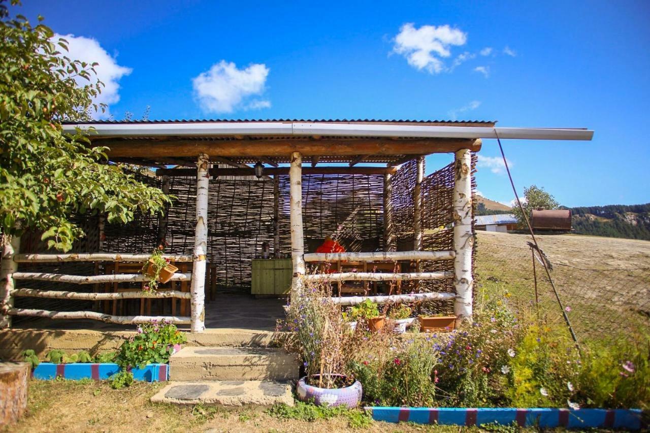 Guest House Old Omalo Bagian luar foto